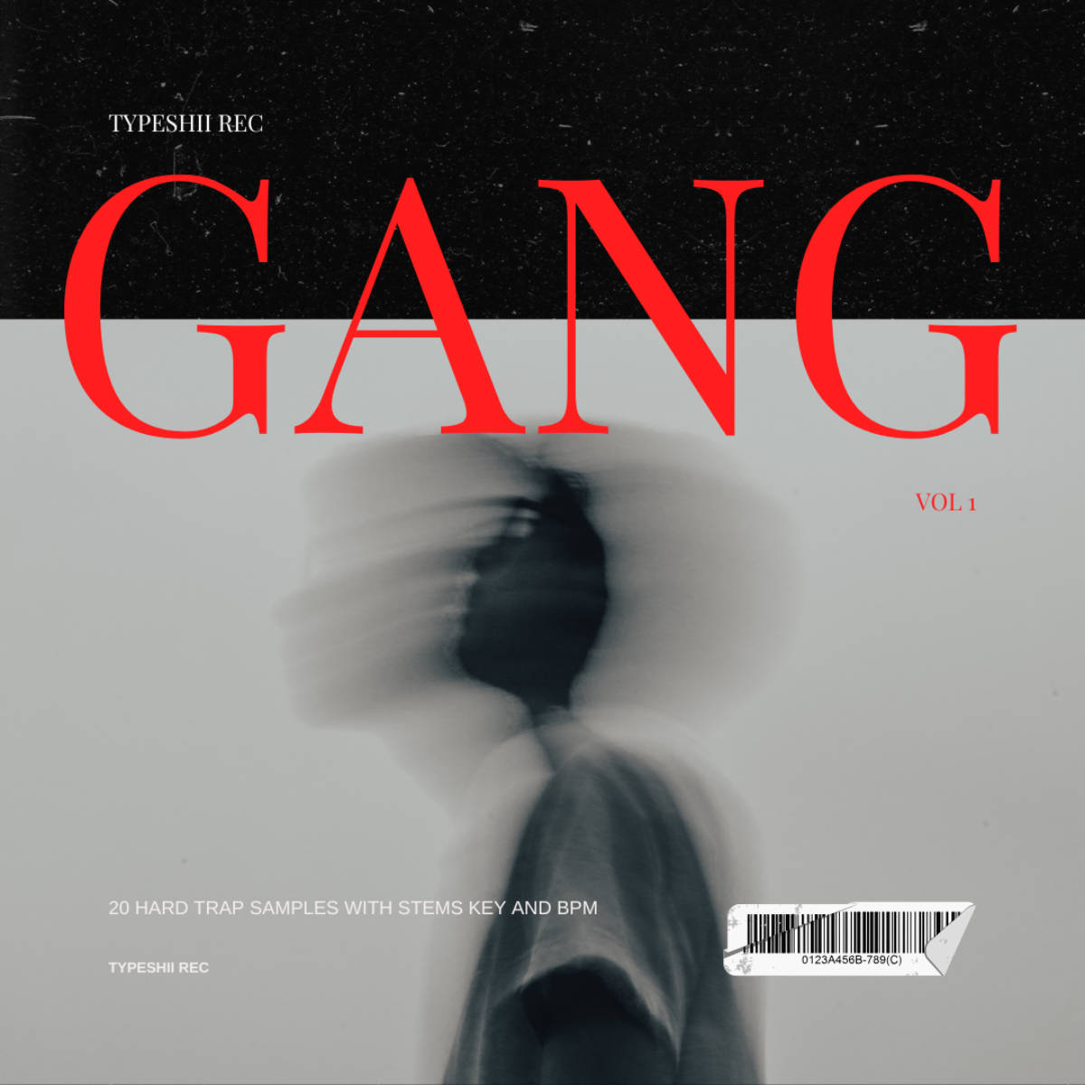 GANG V1 TYPESHII