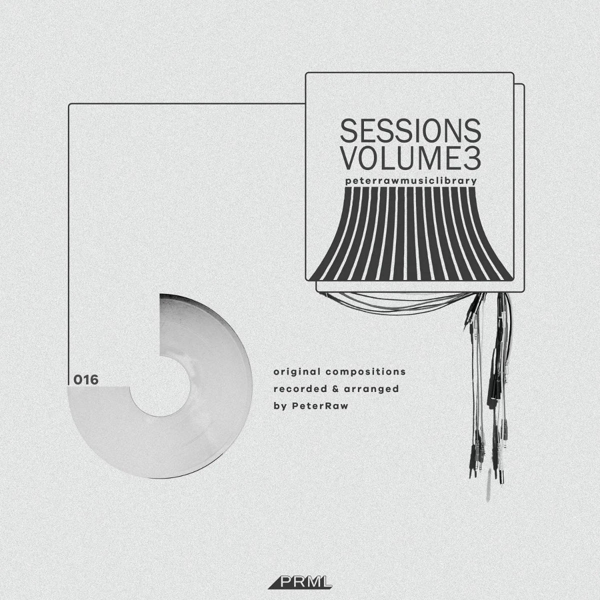 Session Vol. 3 by Peter Raw Music Library