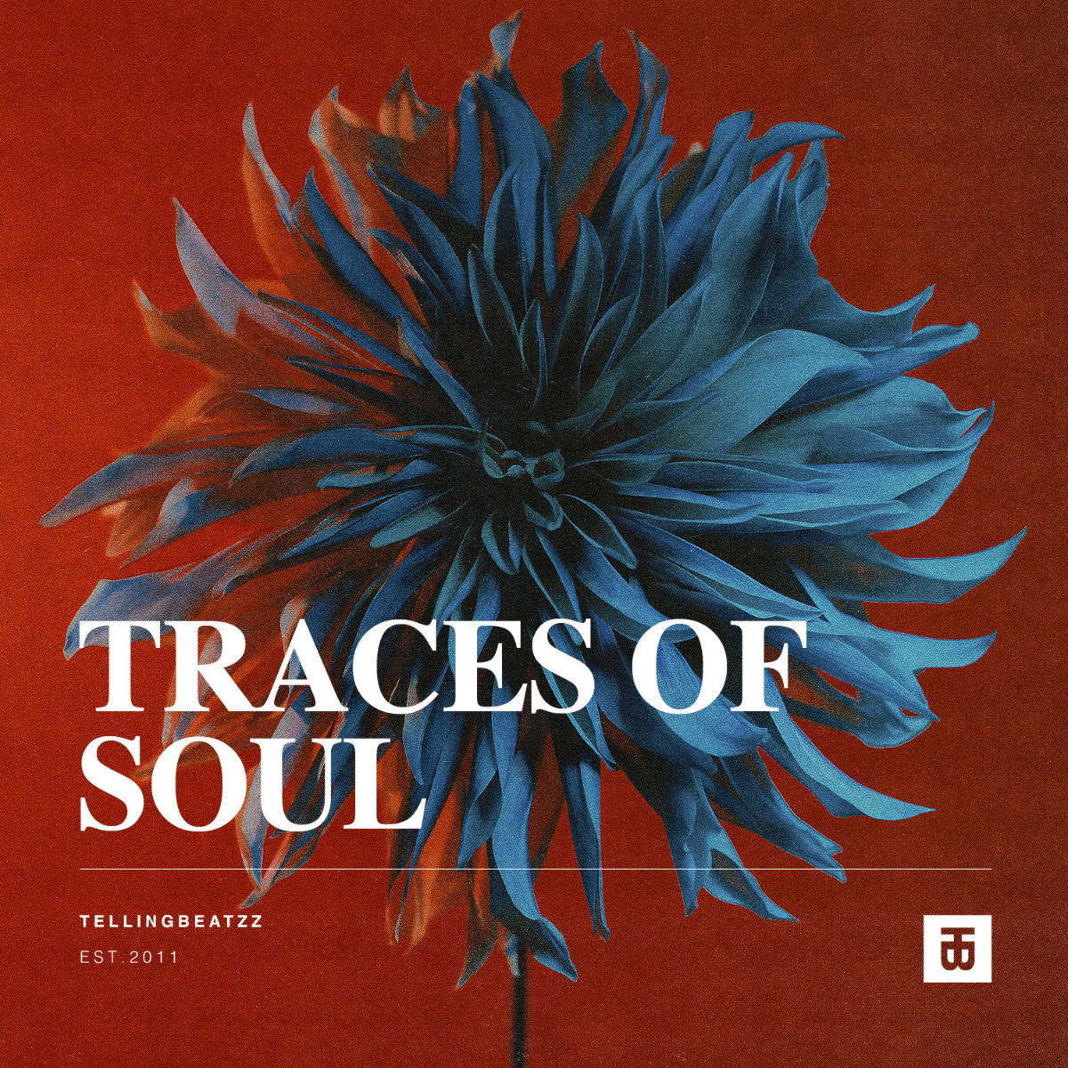 traces of soul by tellingbeatzz